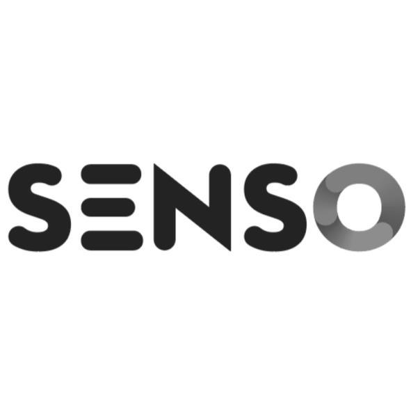 SENSO設計字