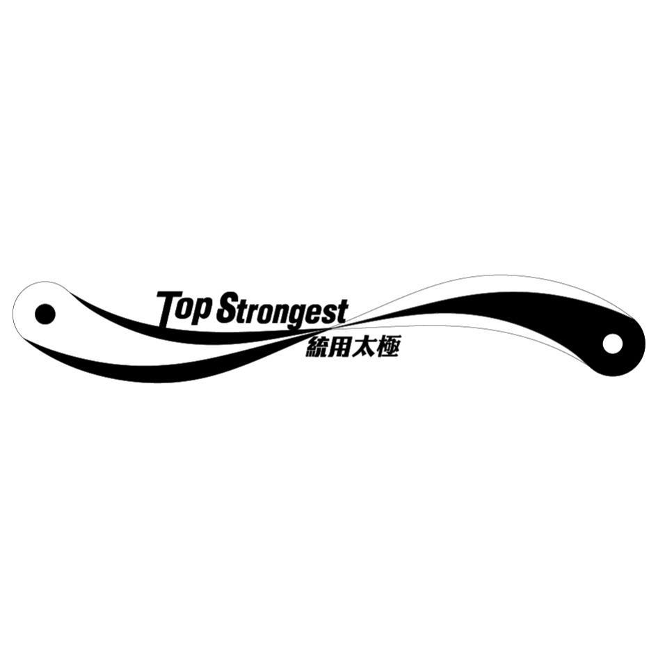 統用太極 Top Strongest及圖