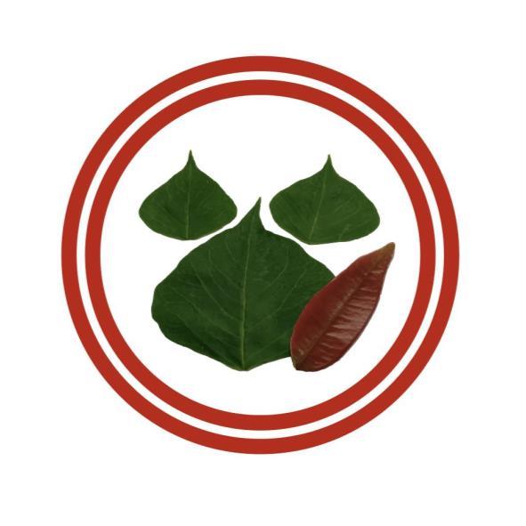 華升食品有限公司標章圖