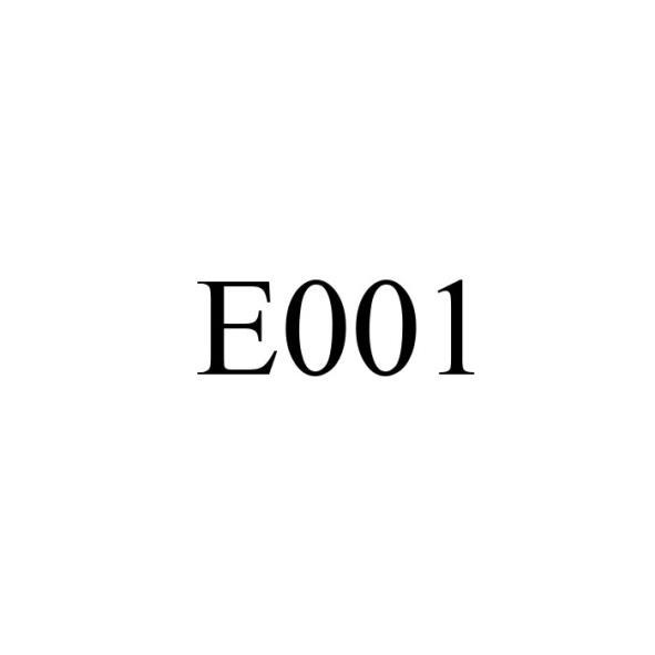 E001