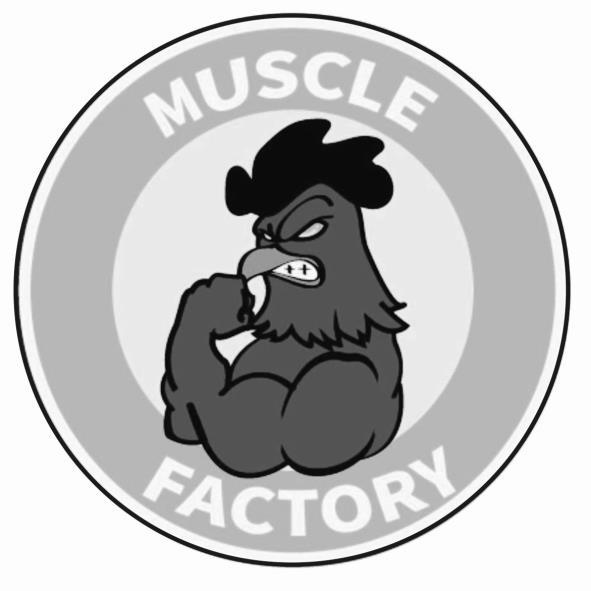 MUSCLE FACTORY及圖