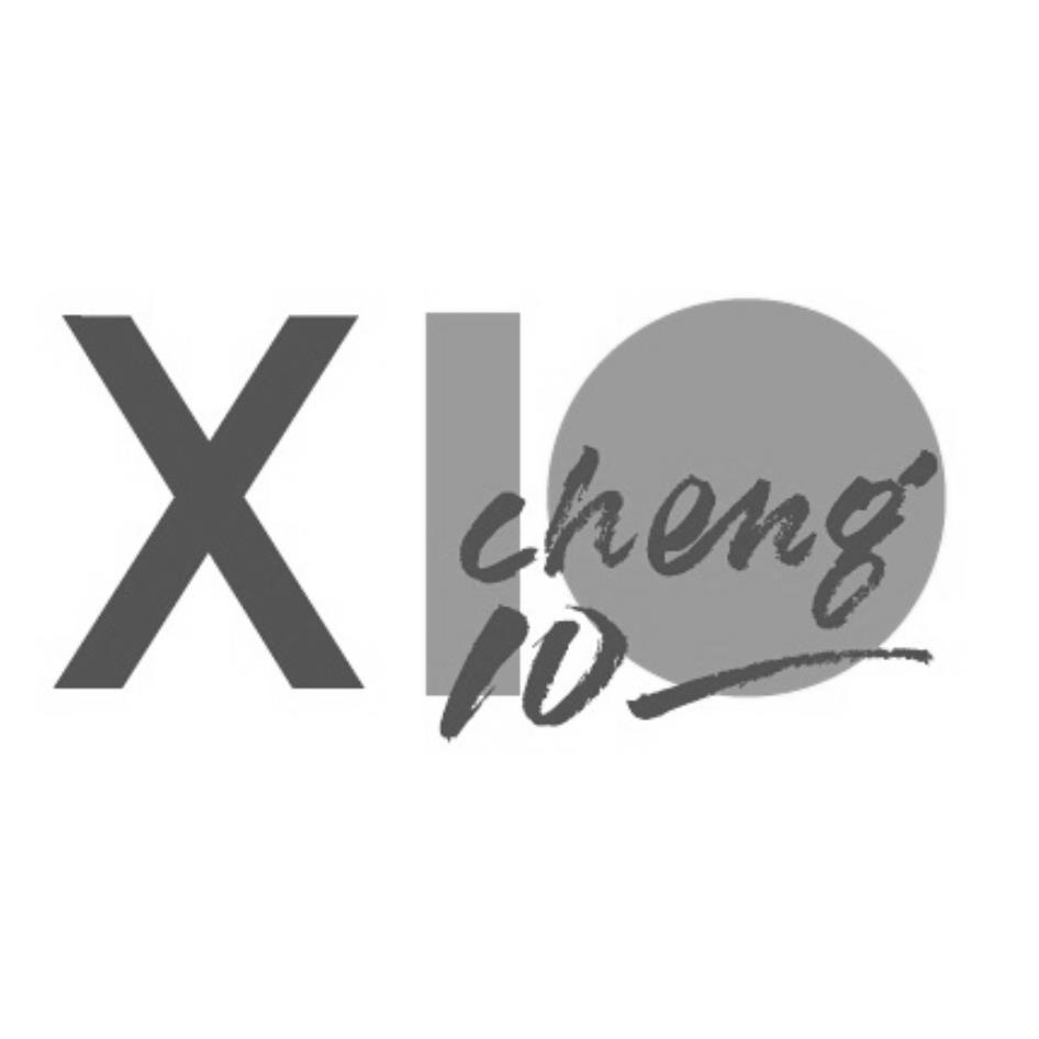 cheng X 10設計字