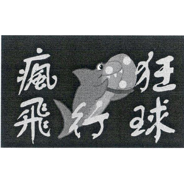 瘋狂飛行球及圖