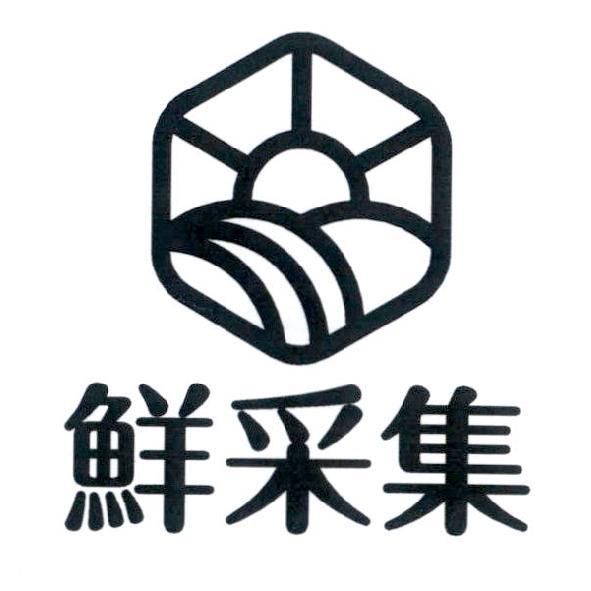 鮮采集
