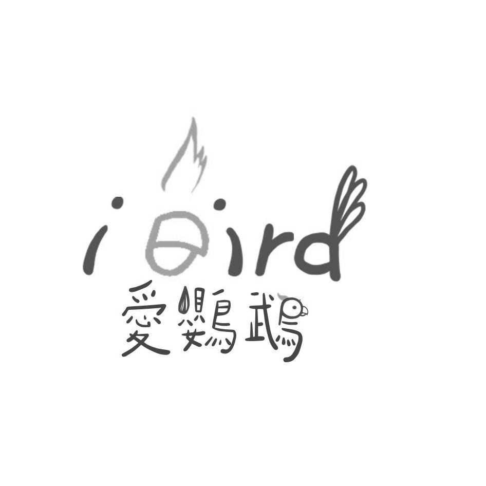 iBird設計圖 愛鸚鵡