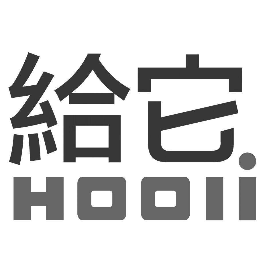 給它 HOOLI