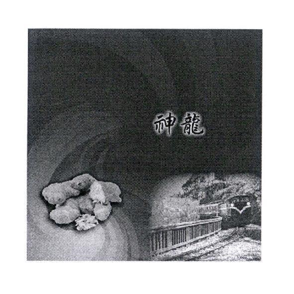 神龍及圖