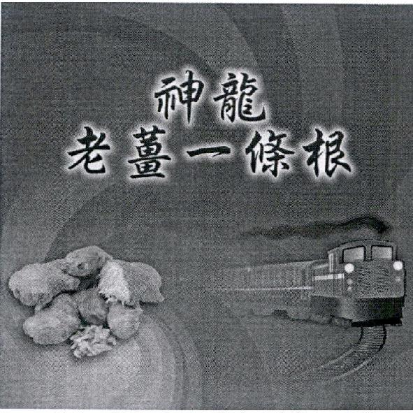 神龍老薑一條根及圖