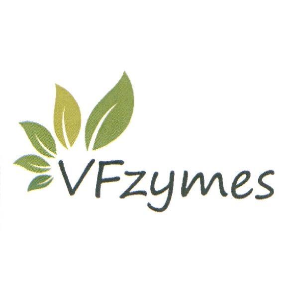 VFzymes 及　圖