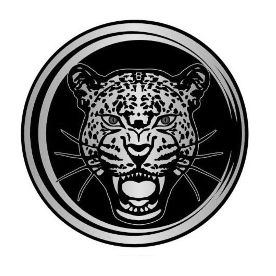奇塔全球有限公司標章