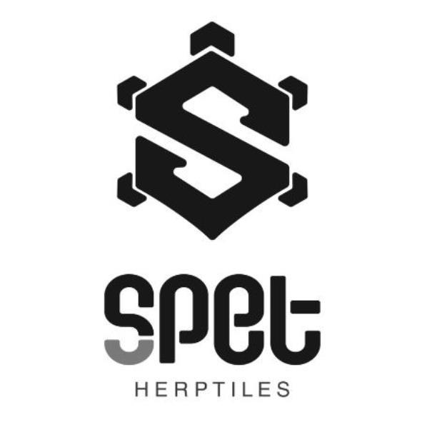 SPET HERPTILES及圖