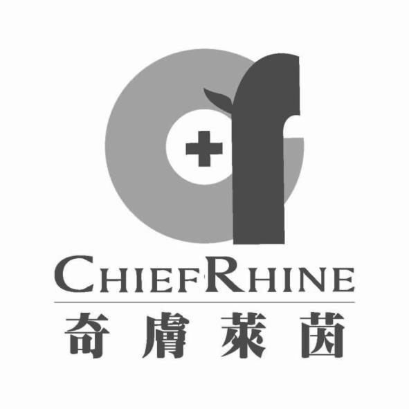 奇膚萊茵CHIEFRHINE及圖