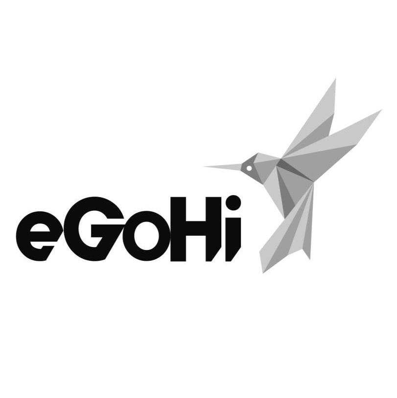 eGoHi及圖