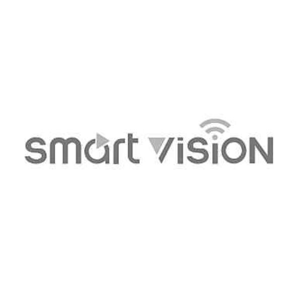 SMART VISION設計字
