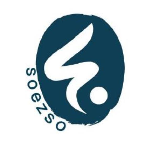 soezso及圖