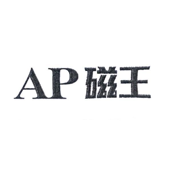 AP 磁王
