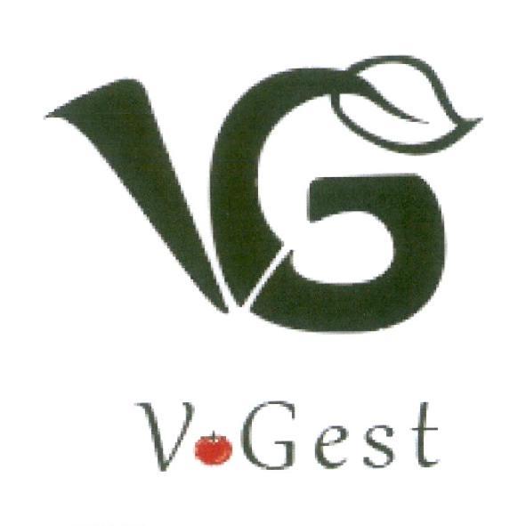 Vgest 及圖
