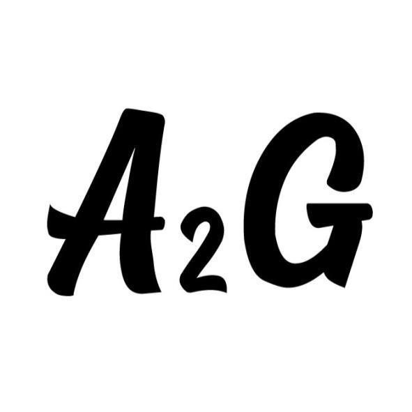 A2G