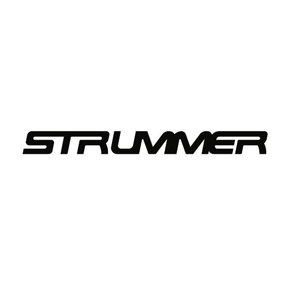 STRUMMER設計字