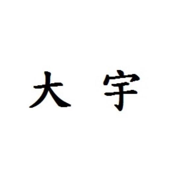 大宇