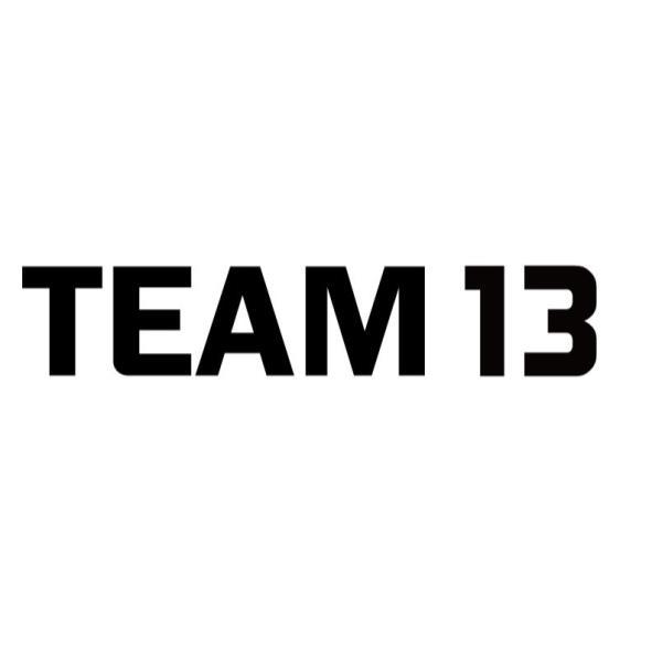 TEAM 13