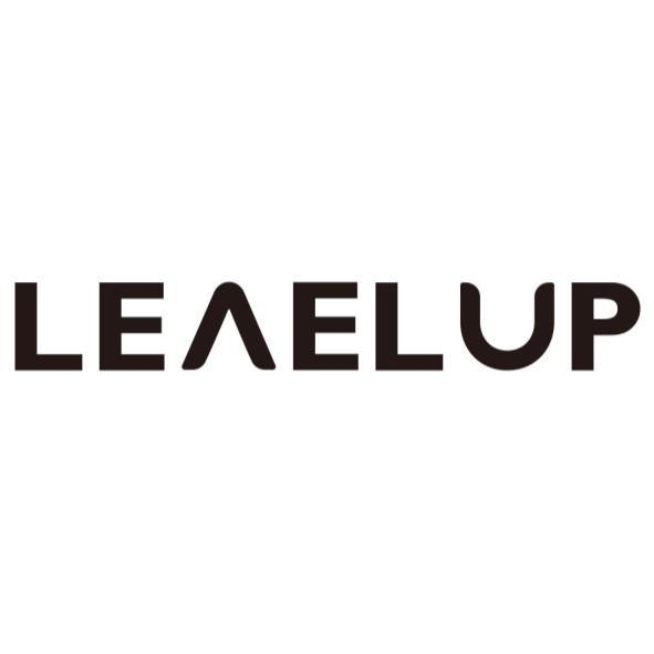 LEVELUP設計字