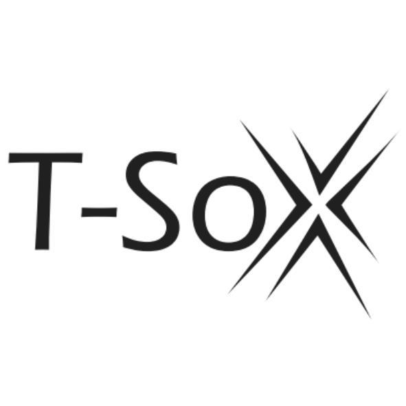 T-SOX設計圖