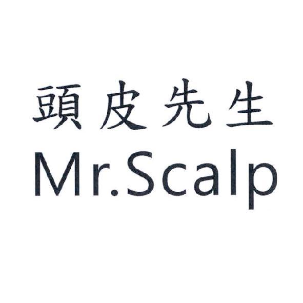 頭皮先生 Mr.Scalp