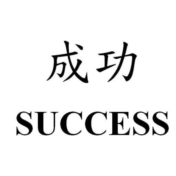 成功SUCCESS