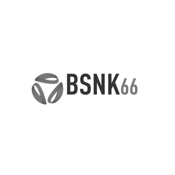 BSNK66及圖