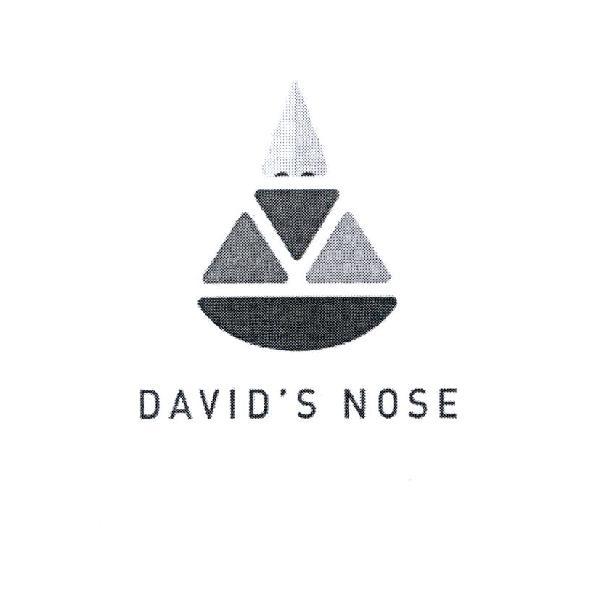 DAVID'S NOSE 設計圖