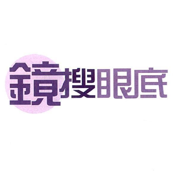 鏡搜眼底及圖