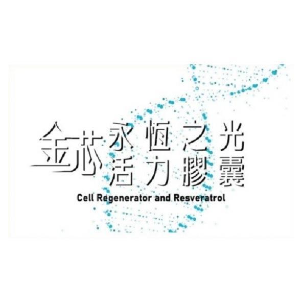 金芯永恆之光及圖