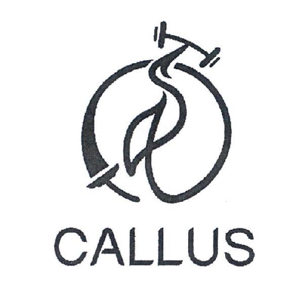 CALLUS 及圖