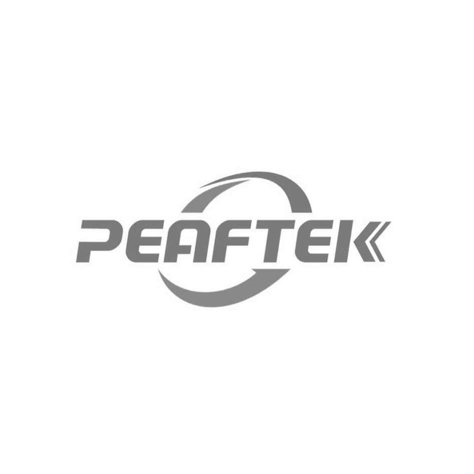 PEAFTEK設計圖