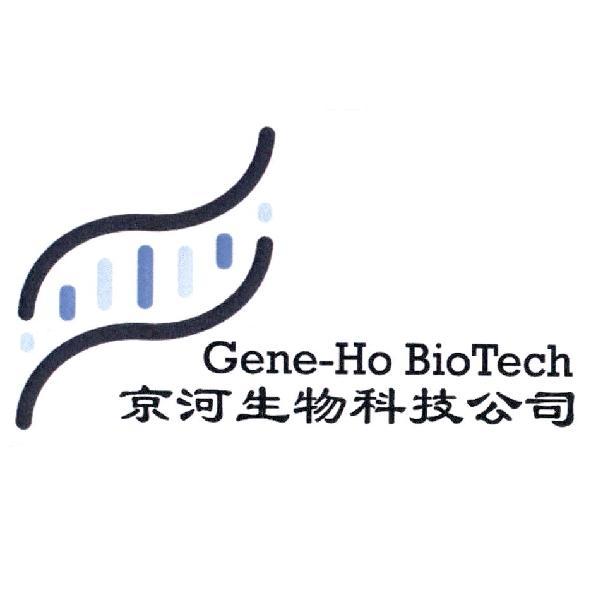 京河生物科技公司 Gene-Ho BioTech及圖