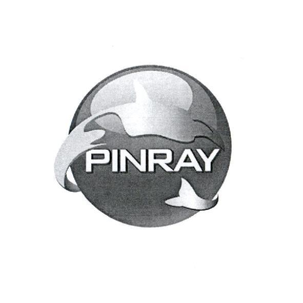 PINRAY 及圖