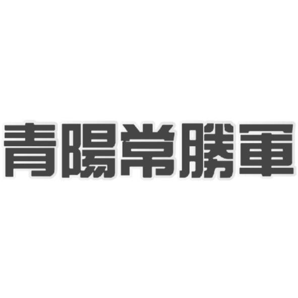 青陽常勝軍