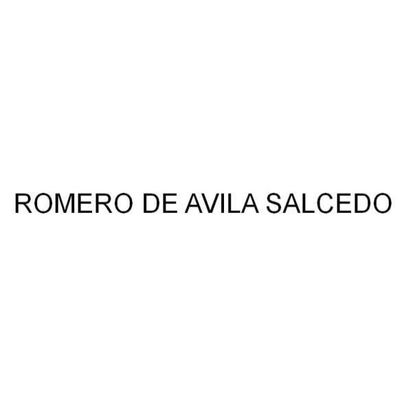 羅梅羅　德　阿維拉　薩爾塞多酒莊有限公司 ROMERO DE AVILA SALCEDO