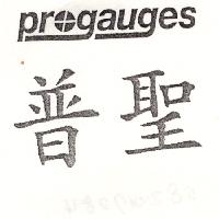 普聖PROGAUGES