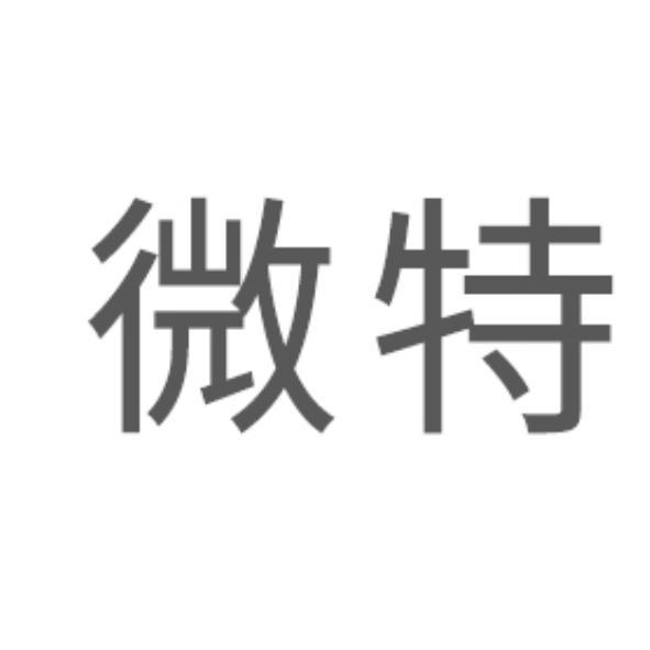 微特