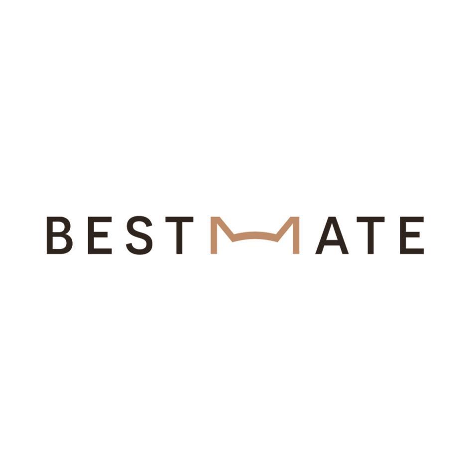 BESTMATE設計字