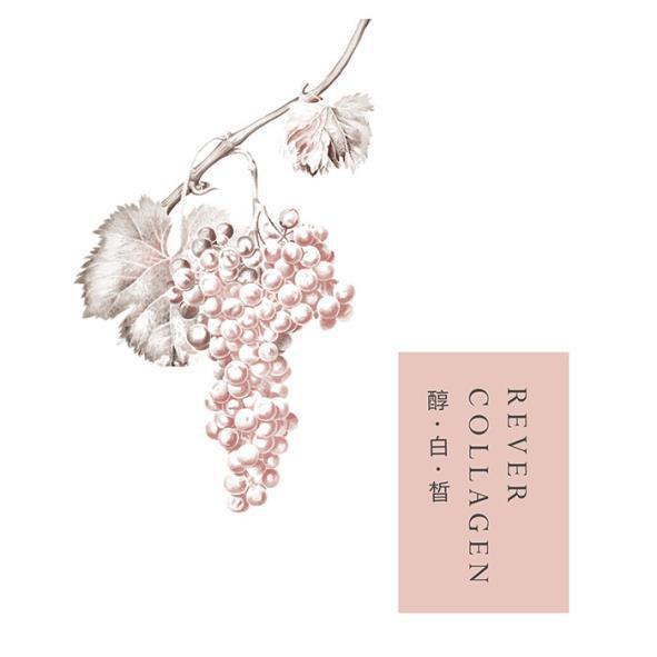 醇白晳REVER COLLAGEN及圖