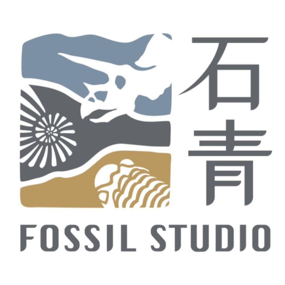 石青FOSSIL STUDIO及圖