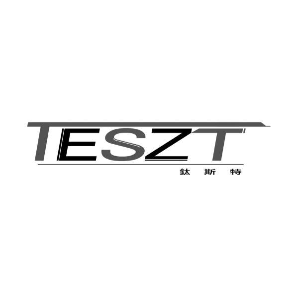鈦斯特TESZT設計字