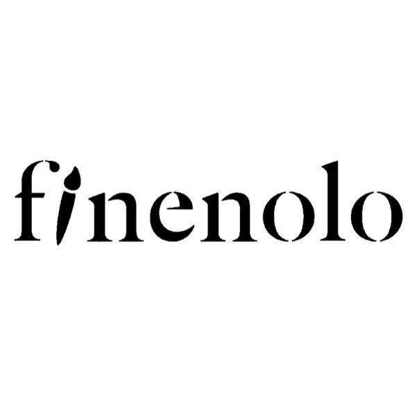 得力集團有限公司 finenolo設計字