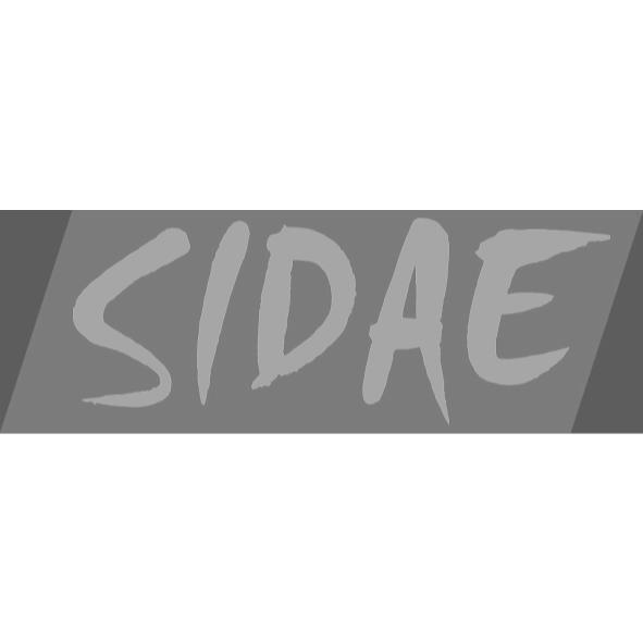 SIDAE及圖