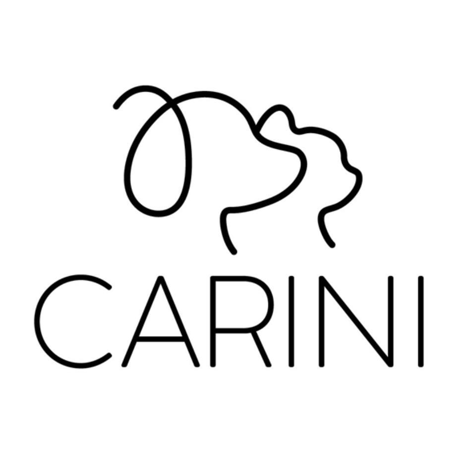 CARINI及圖