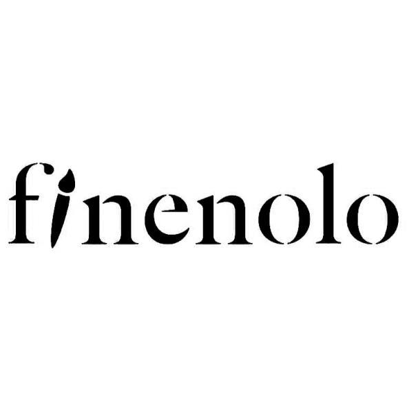 得力集團有限公司 finenolo設計字