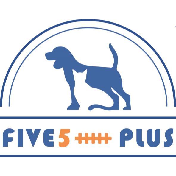 FIVE5+++++PLUS及圖